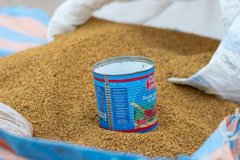 Fenugreek for hair