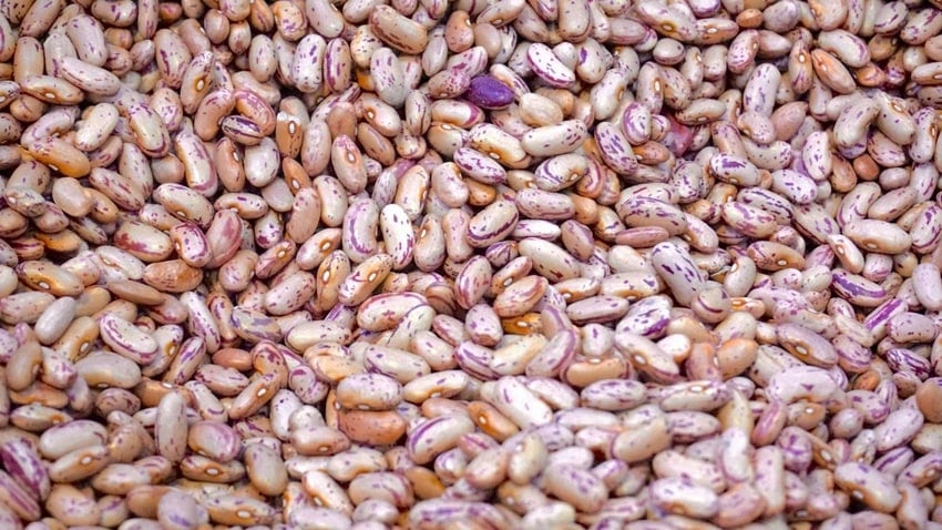 Gas and Acidity from Kidney Beans