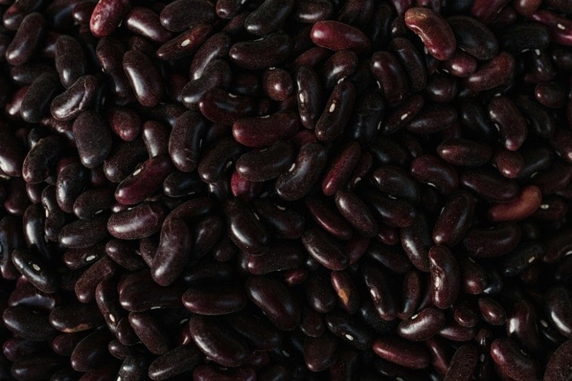 Kidney Beans and Pregnancy