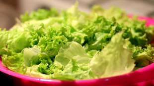 Low-calorie leafy greens