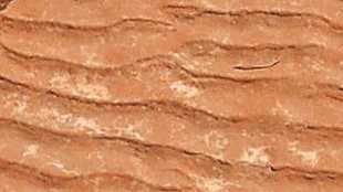 principles of uniformitarianism in marathi