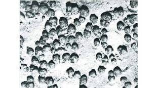Loksatta kutuhal Mineral stones found on the sea floor