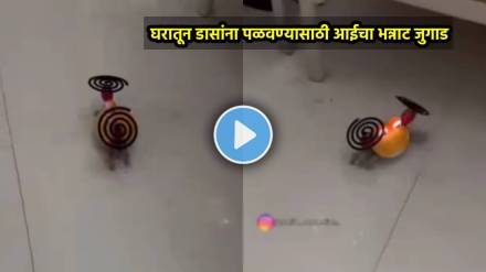 mosquitoes killing desi Jugaad Video