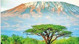 Loksatta kutuhal dormant volcanic mountain Kilimanjaro