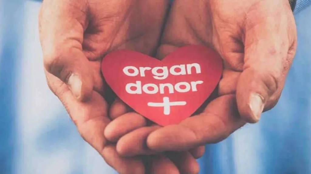 Woman donated small intestine saves husband life Doctors succeed in Rare and complex transplant