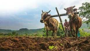 dharashiv district progress report in marathi