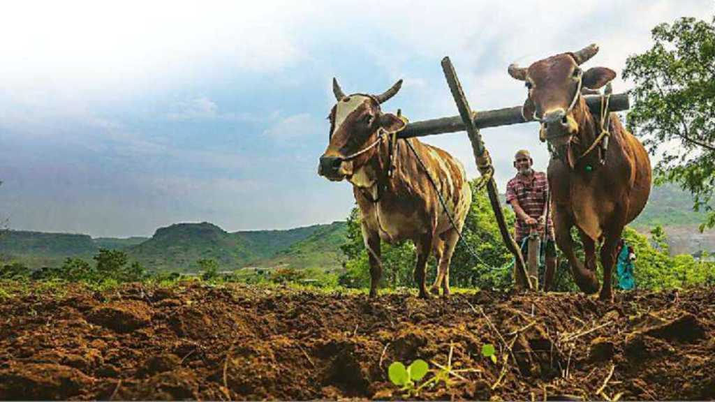 dharashiv district progress report in marathi