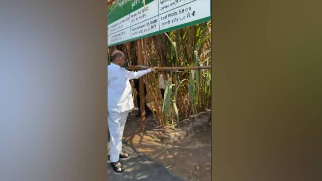 farmer suicides increased state matter of concern Sharad Pawar farmer suicides increased state matter of concern Sharad Pawar