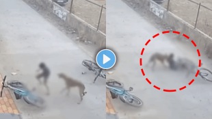 Video of Stray Dog attacked on little boy on road got injured shocking video viral