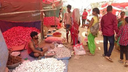 The citizens of the district throng the Agoti Shopping Fair which is starting in the last phase of the Mahalakshmi Devi Fair in Dahanu taluka