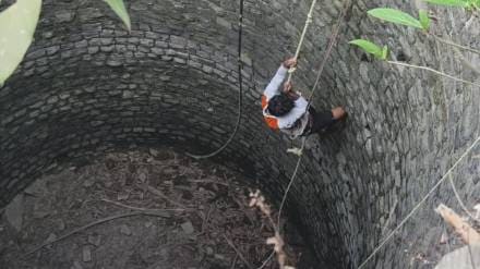 Two kittens trapped in a well in Palghar Kasa have been successfully rescued