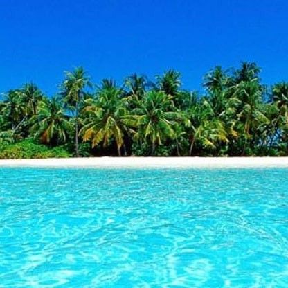 Top 8 Most Beautiful Beaches in India You Must Visit This Summer, From Tarkarli to Radhanagar