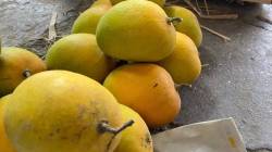 आम नव्हे, खास!