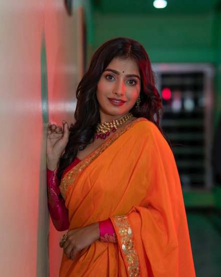 Asmita Deshmukh Haathi Khun Saree