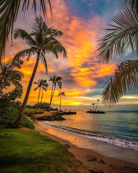 Top 8 Most Beautiful Beaches in India You Must Visit This Summer, From Tarkarli to Radhanagar