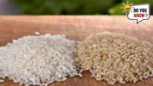 White and Brown Rice