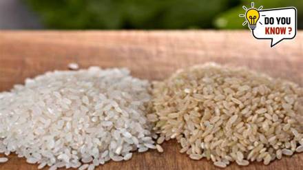 White and Brown Rice
