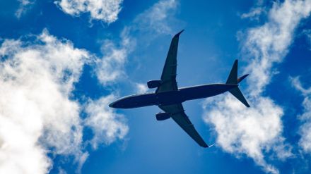 Angry passenger biting crew member during a mid-air altercation over body odor.