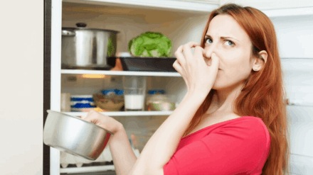 How to remove smell from fridge naturally