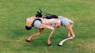 IPL Champak Robot Dog