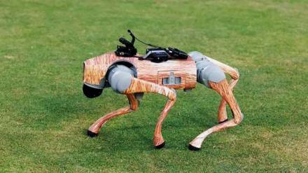 IPL Champak Robot Dog