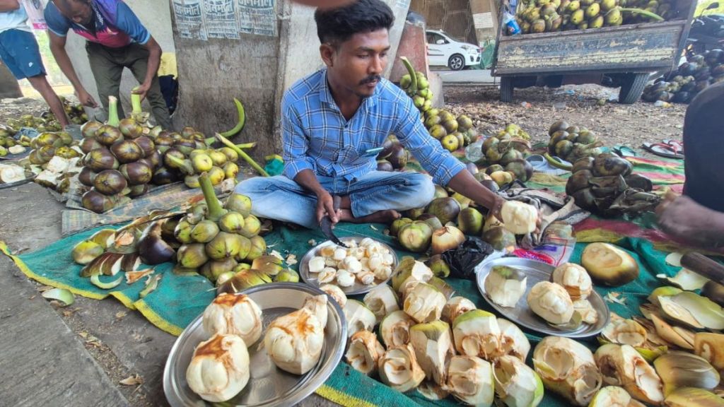 Employment for tribals through ice apple sold near Mahalaxmi temple and highways Employment for tribals through ice apple sold near Mahalaxmi temple and highways