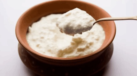 In which utensils should curd be stored do not store curd in Brass copper how to make curd at home