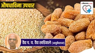Cucumber Seeds Khas Khas Kharbuja seeds Benefits for female health