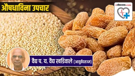 Cucumber Seeds Khas Khas Kharbuja seeds Benefits for female health