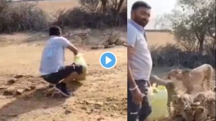 Forest department driver suspended for offering water to thirsty cheetahs