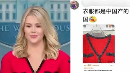 white House Press Secretary wearing Made In China Lace Dress