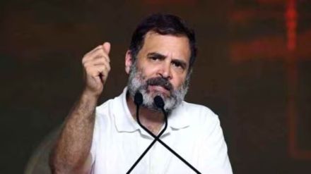 Rahul Gandhi On Terror Attack Rahul Gandhi On Terror Attack