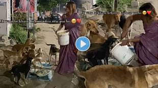 Woman feeding food to the stray dogs