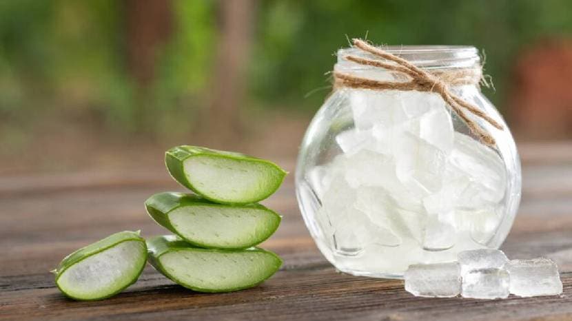 5 key differences between real and fake aloe vera gel