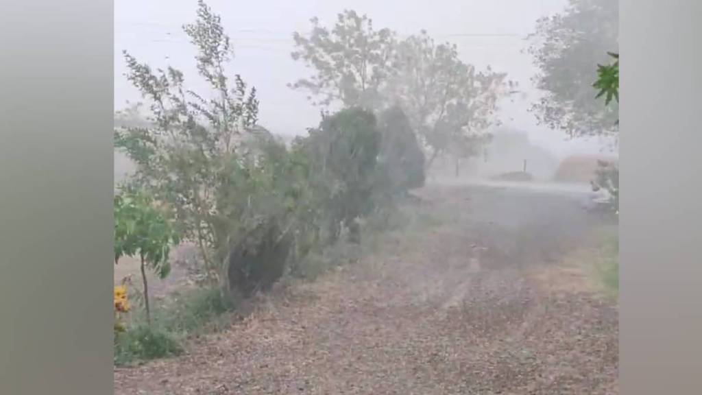 hailstorm , rain , Sangli , loksatta news,