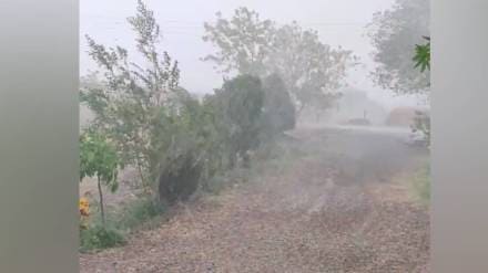 hailstorm , rain , Sangli , loksatta news,