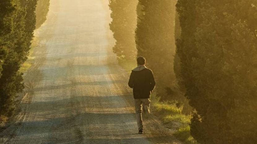 Morning Walk Benefits In Summer