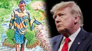 donald trump policies