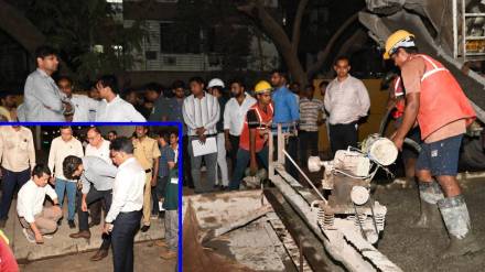 trees , road works, Additional Commissioner,