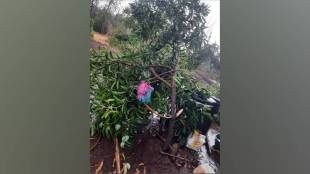 panchnama completed for rain damaged homes orchards in wada and mokhada talukas