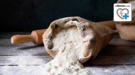 Many serious diseases are caused by maida
