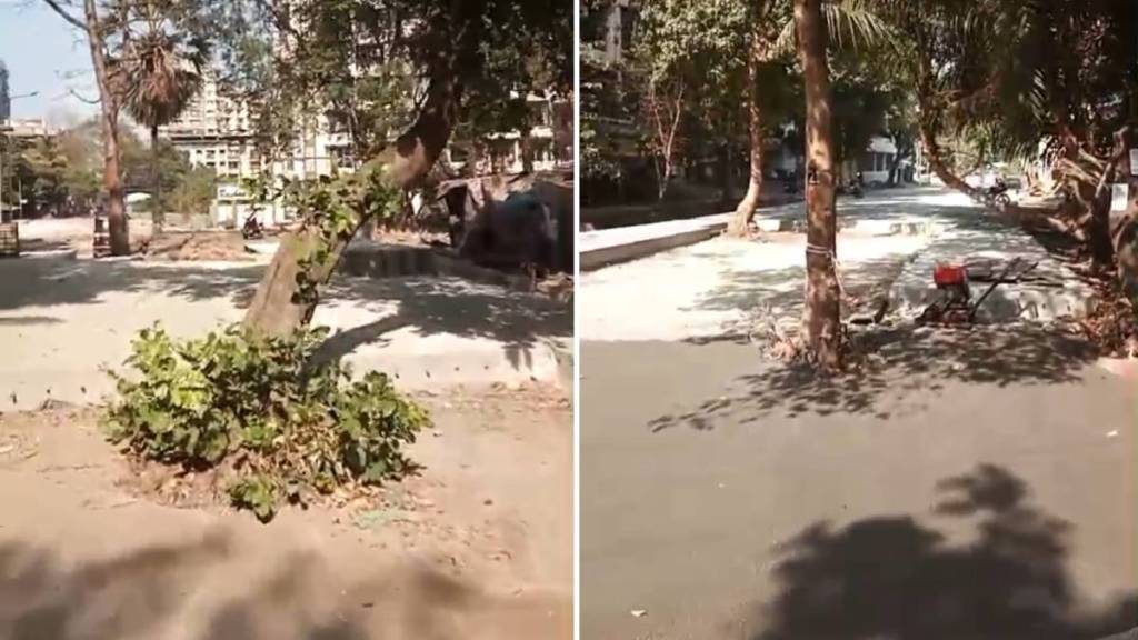 concrete work, trees , road , Thakurli Chole, concrete work, trees , road , Thakurli Chole,