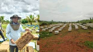 Honey bees , flowers , Jharkhand , honey ,