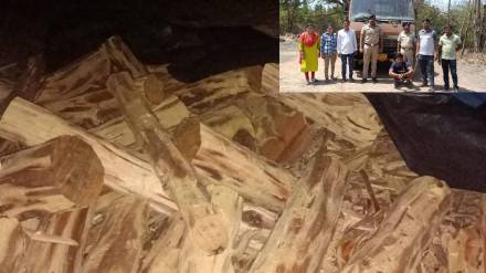forest department seized tempo smuggling Khair wood worth 10 lakh in Jawhars Kanchad forest