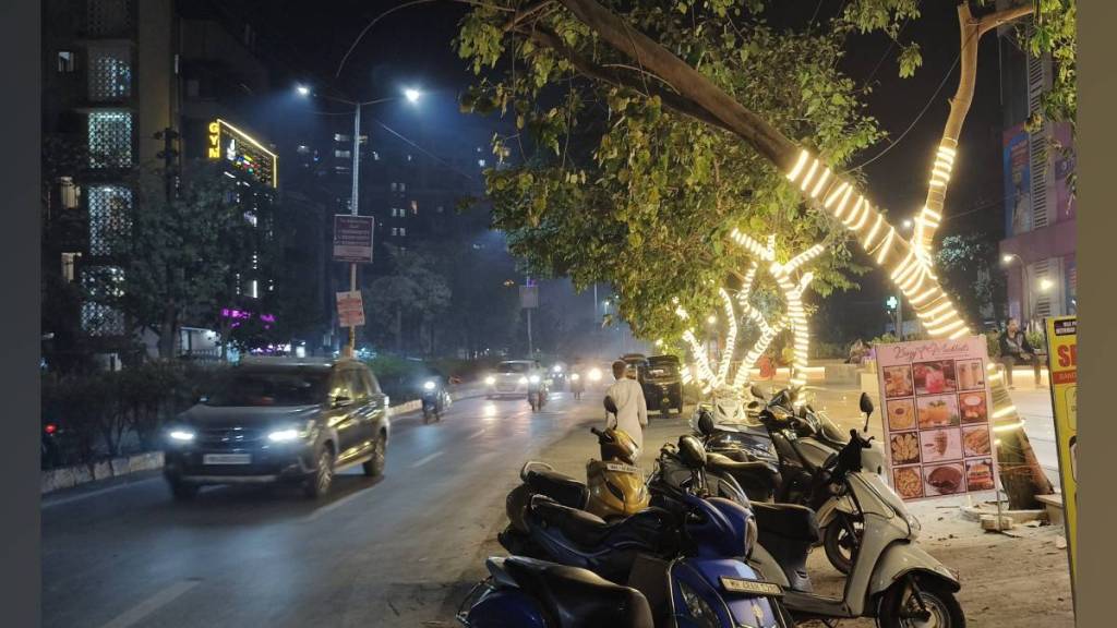 tree lighting in vasai virar harms trees and endangers creatures living on them tree lighting in vasai virar harms trees and endangers creatures living on them