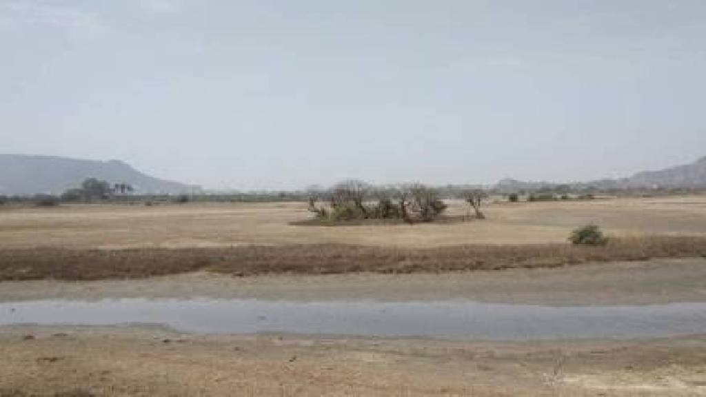 bird numbers in Uran dropped over one lakh due to declining wetlands say environmentalists