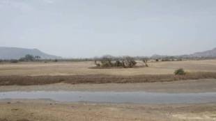 bird numbers in Uran dropped over one lakh due to declining wetlands say environmentalists