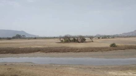 bird numbers in Uran dropped over one lakh due to declining wetlands say environmentalists