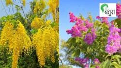 निसर्गलिपी : निसर्गाची हाक