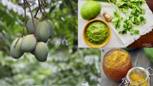 10 Delicious Mango Chutneys You Must Try This Summer with various ingrediants across different regions